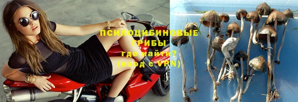 а пвп мука Алексеевка